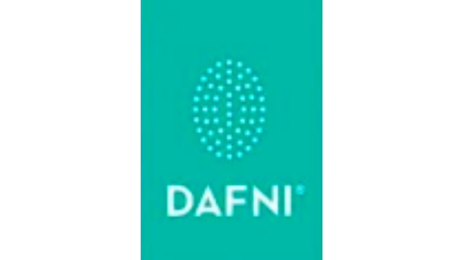 DAFNI，世界第一款直發(fā)梳