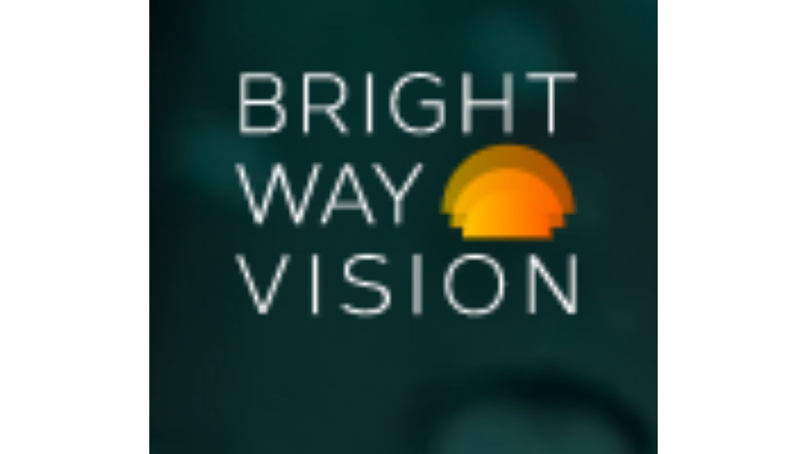 Bright Way Vision，一家以色列智能汽車解決方案的提供商