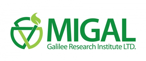 MIGAL——以色列研究機構