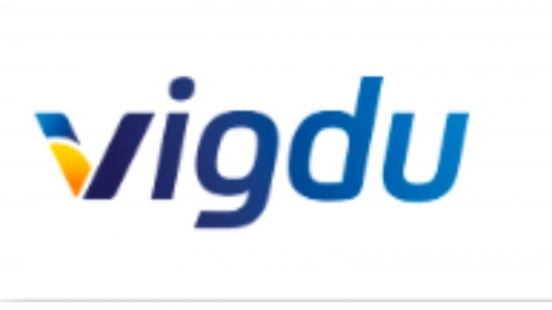 Vigdu，提升光伏效率的解決方案